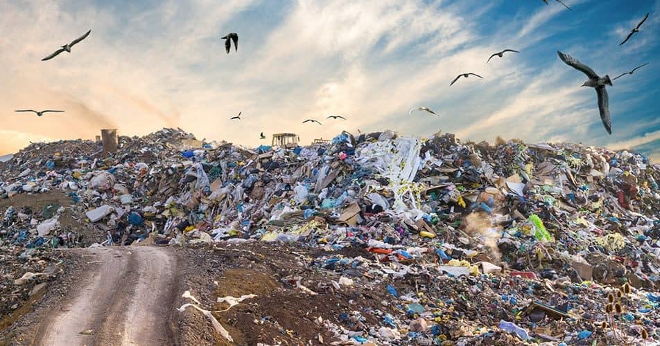 More States sign up to Single Use Plastics Bans