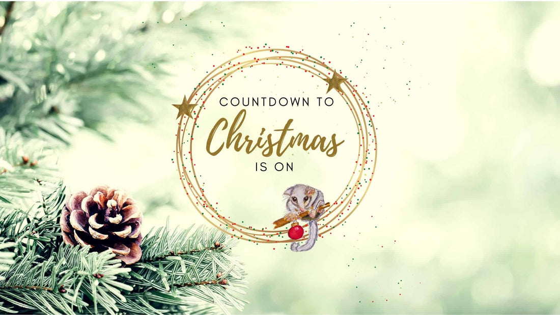 Countdown to an Eco-friendly Christmas