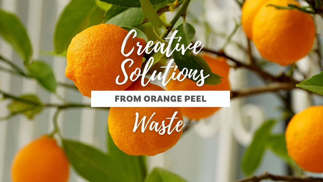 Creating solutions from orange peel waste