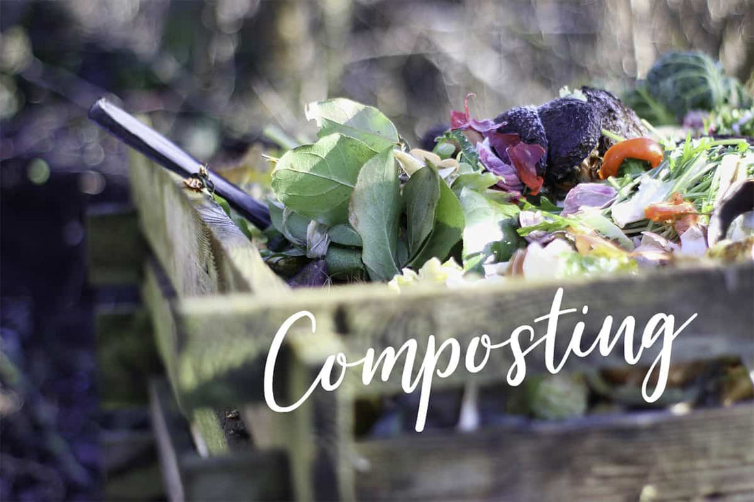 Composting — the fastest way to reduce waste