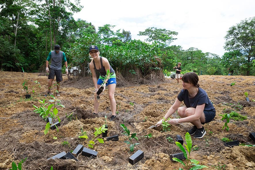 World Environment Day