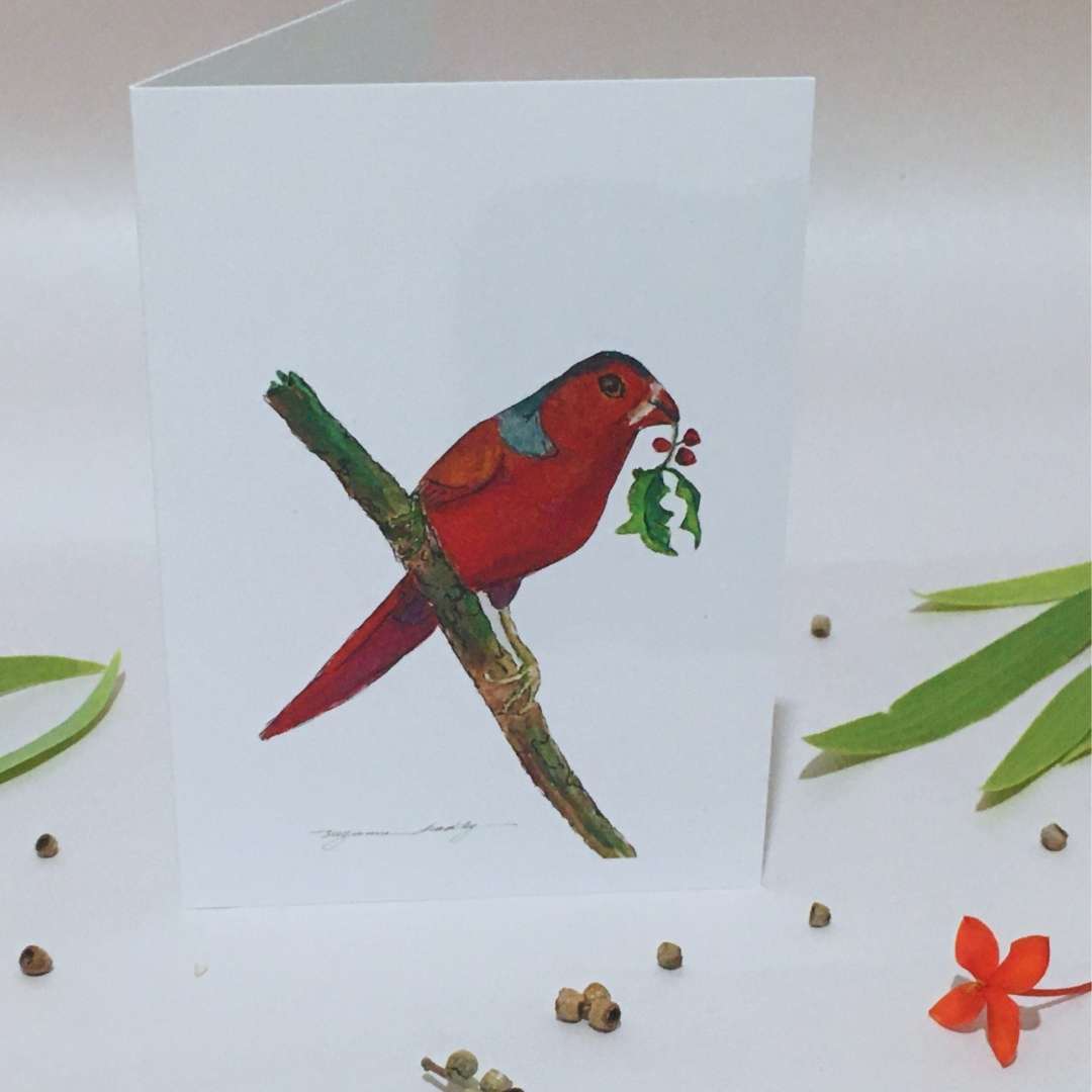 Hand Illustrated Christmas Cards (Set of 5)