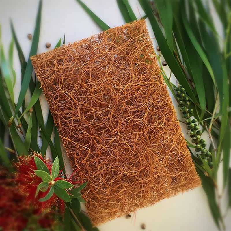 Coconut Fibre Scrub Pad