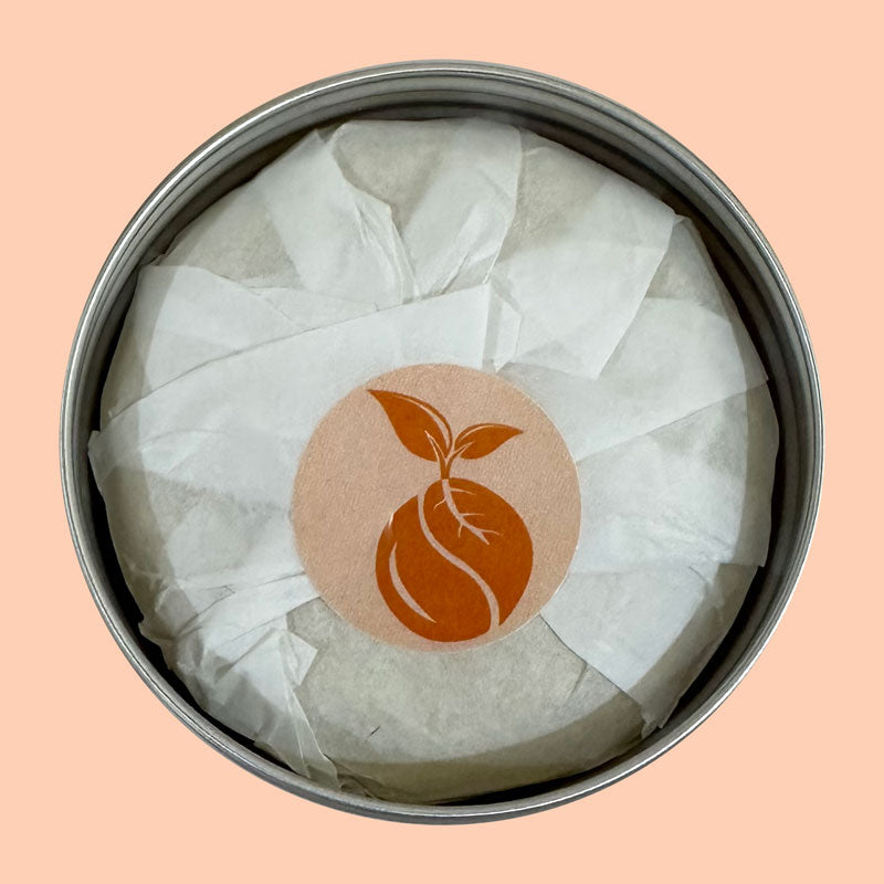 Solid Shampoo Bar - Soleil NEW!