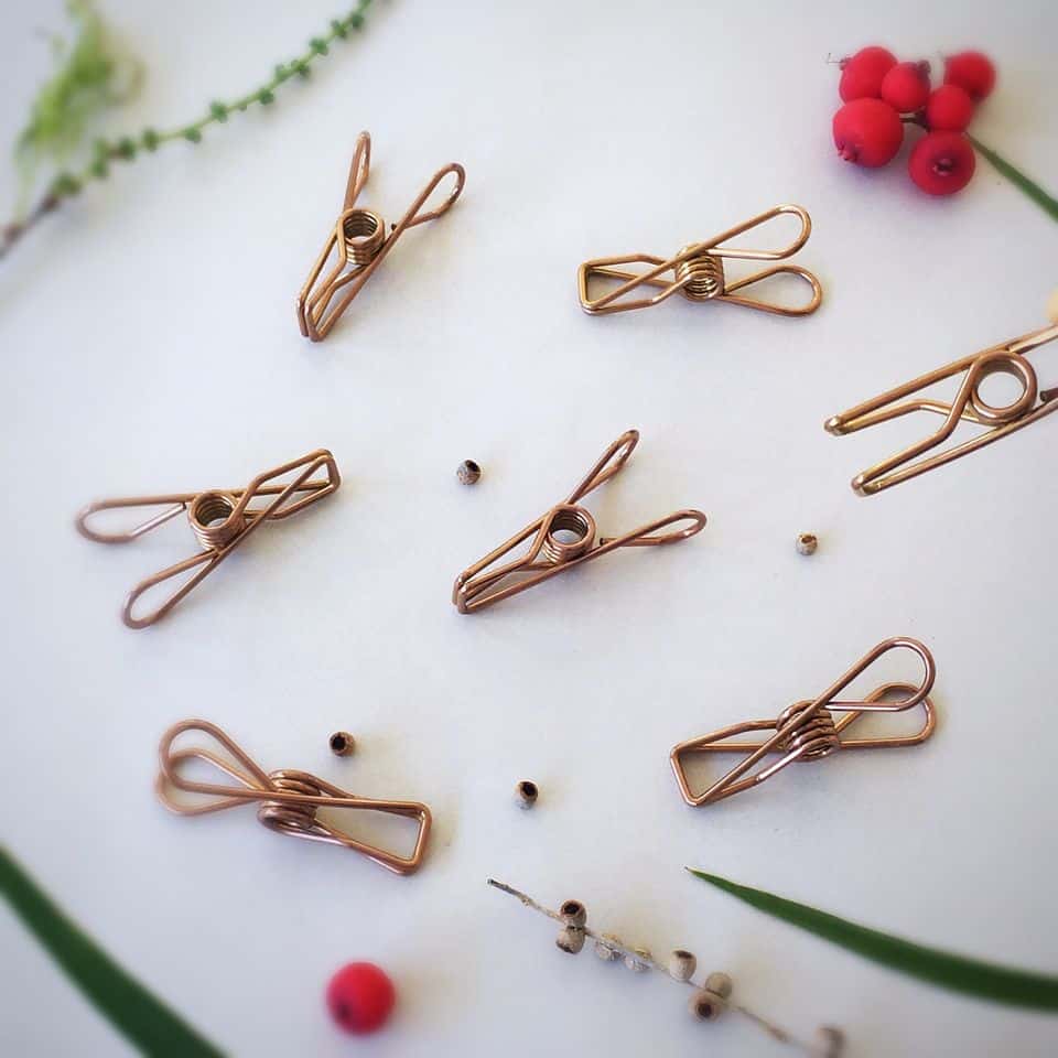 Rose Gold Stainless Steel Pegs