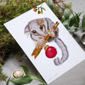 Hand Illustrated Christmas Cards