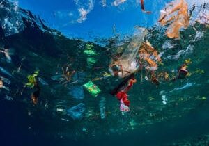Ocean Plastic floating on surface